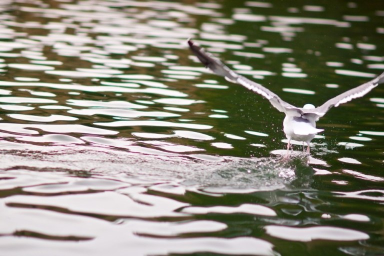 _DSC0032+-+Version+2