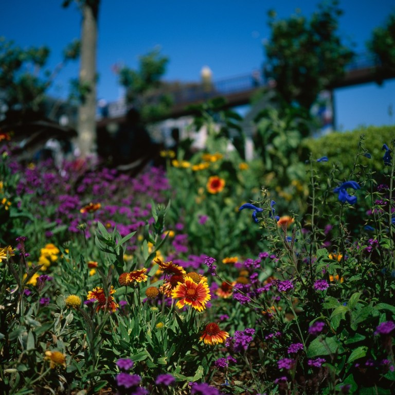 flowers_velvia_adjusted_1500